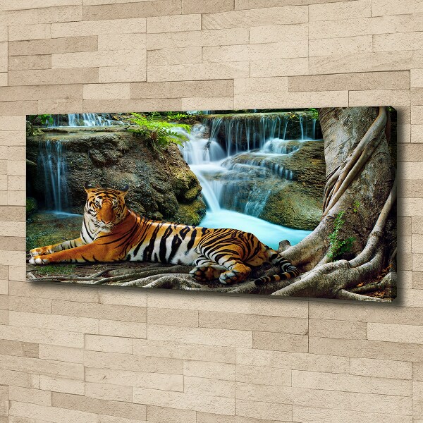 Fotobild Tigerwasserfall