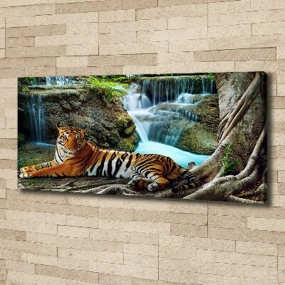 Fotobild Tigerwasserfall