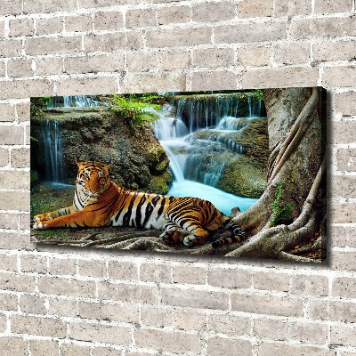 Fotobild Tigerwasserfall