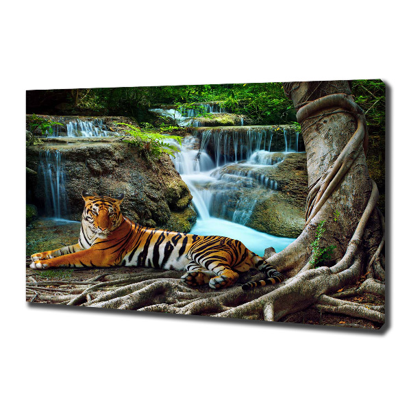 Fotobild Tigerwasserfall