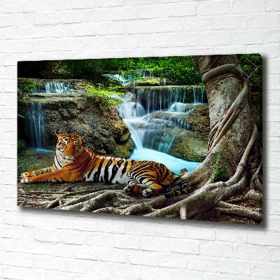 Fotobild Tigerwasserfall