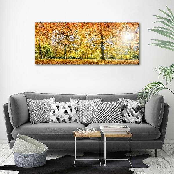 Bild auf leinwand Wald im Herbst