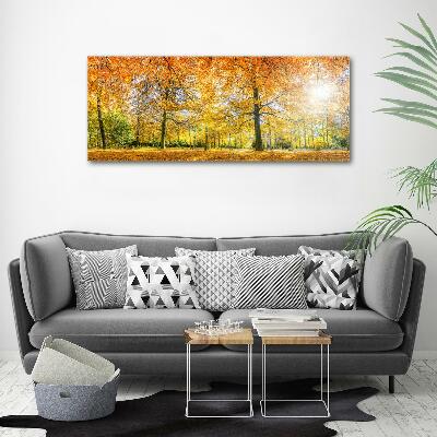 Bild auf leinwand Wald im Herbst
