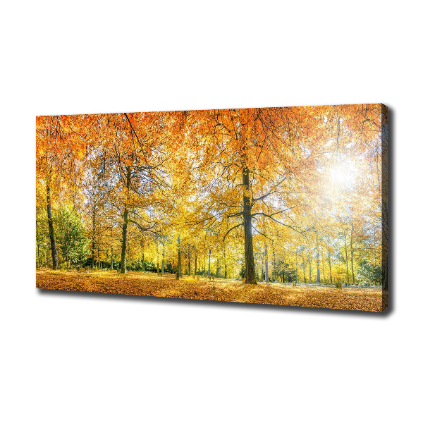 Bild auf leinwand Wald im Herbst