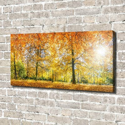 Bild auf leinwand Wald im Herbst