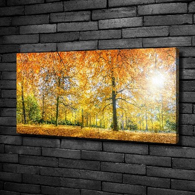 Bild auf leinwand Wald im Herbst