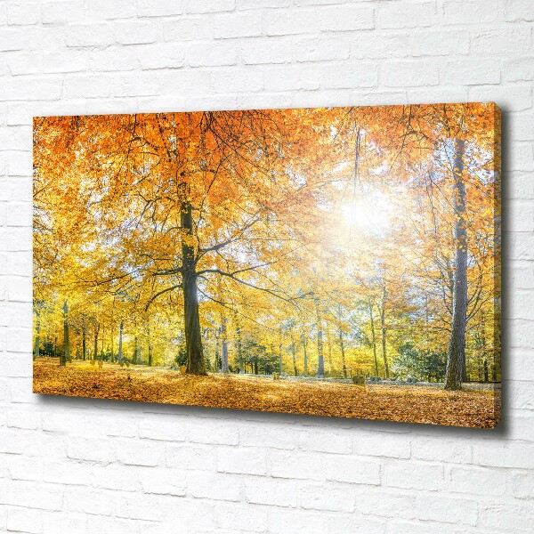 Bild auf leinwand Wald im Herbst
