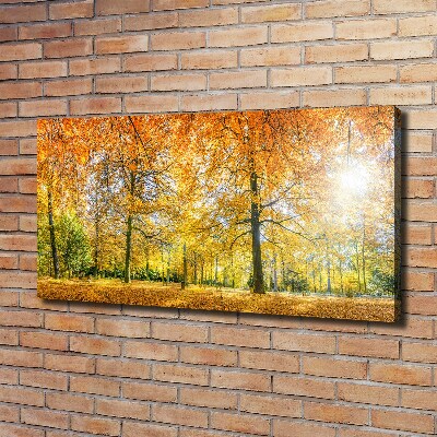Bild auf leinwand Wald im Herbst