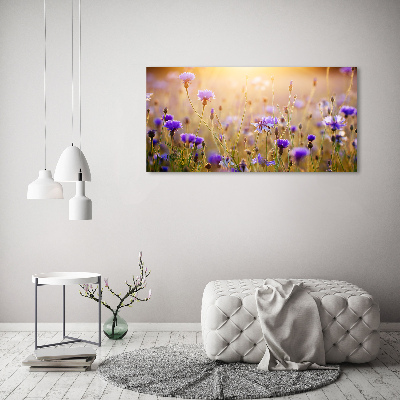 Fotobild Wildblumen