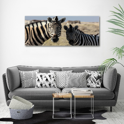 Bild auf leinwand Zwei Zebras