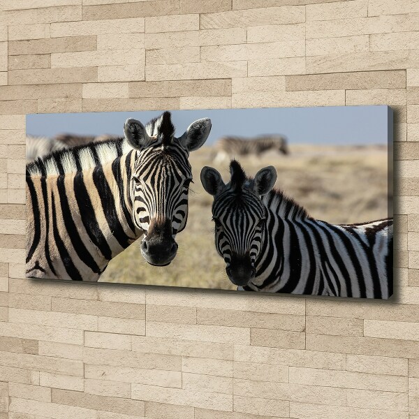 Bild auf leinwand Zwei Zebras