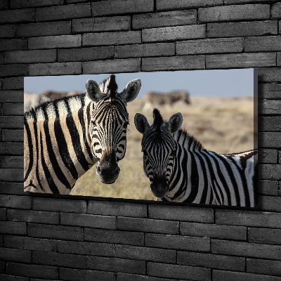 Bild auf leinwand Zwei Zebras