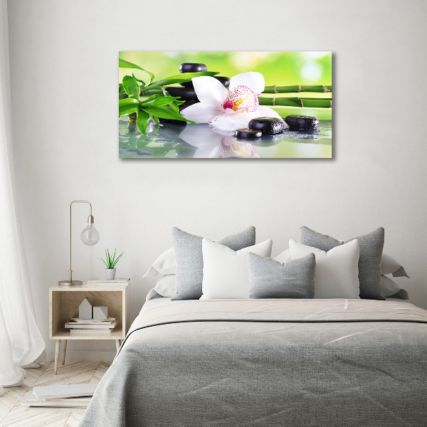 Fotobild Orchidee