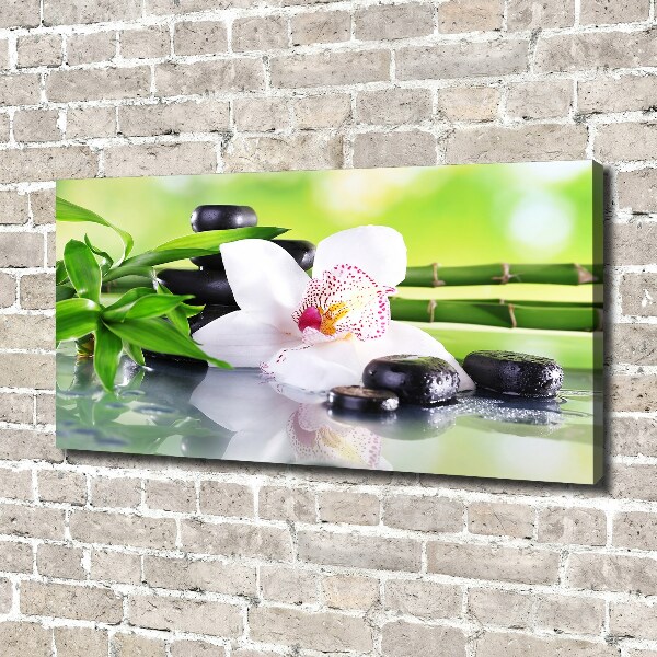 Fotobild Orchidee