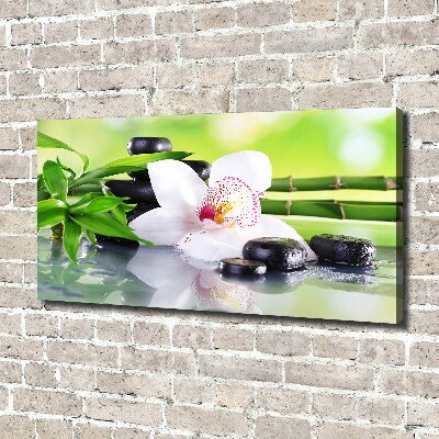 Fotobild Orchidee