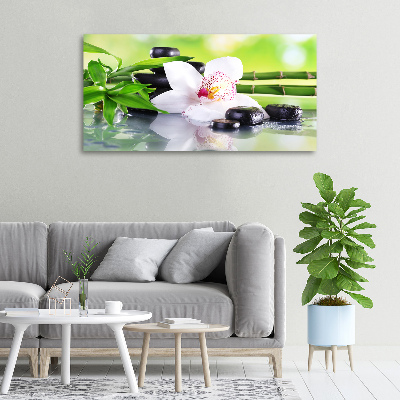 Fotobild Orchidee