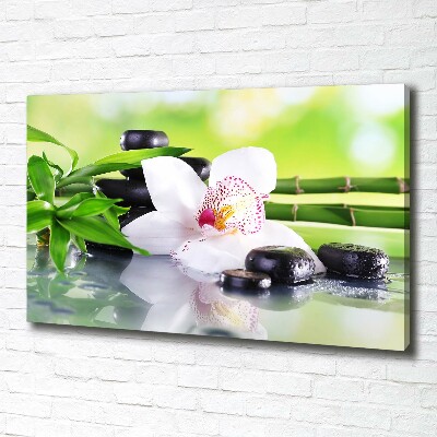 Fotobild Orchidee
