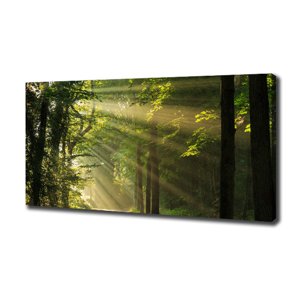 Bild auf leinwand Wald in der Sonne