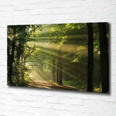 Bild auf leinwand Wald in der Sonne