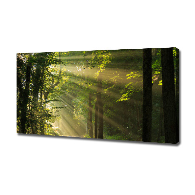 Bild auf leinwand Wald in der Sonne