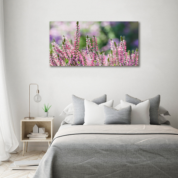 Wandbild Heidekrautblüten