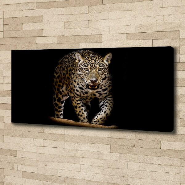 Fotobild Jaguar