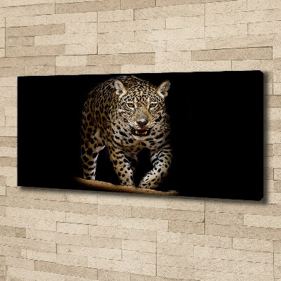 Fotobild Jaguar