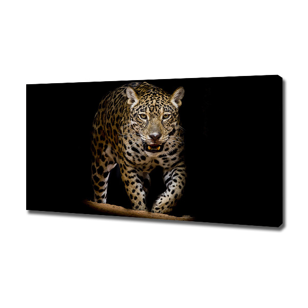 Fotobild Jaguar