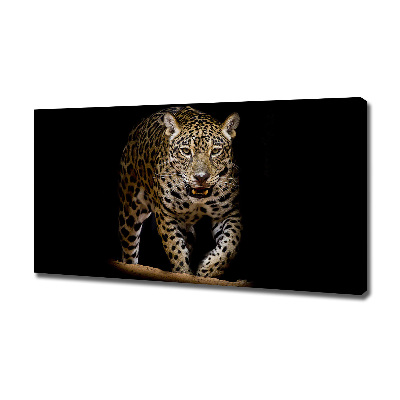 Fotobild Jaguar