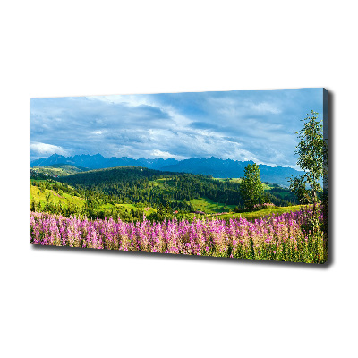 Wandbild Lavendel in den Bergen