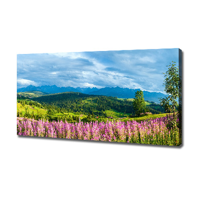 Wandbild Lavendel in den Bergen