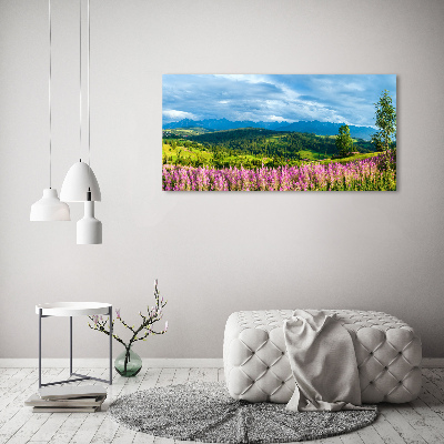 Wandbild Lavendel in den Bergen