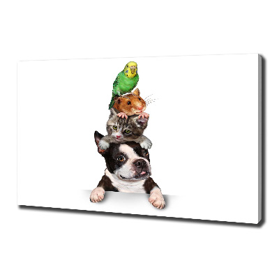 Bild auf leinwand Eine Gruppe von Tieren