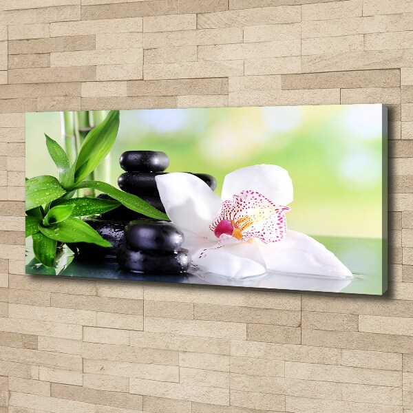 Fotobild Orchidee
