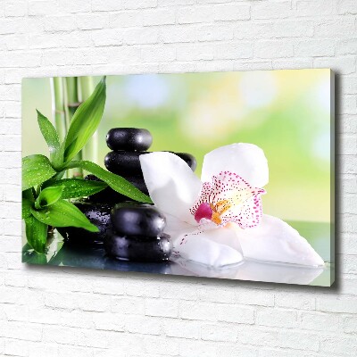 Fotobild Orchidee