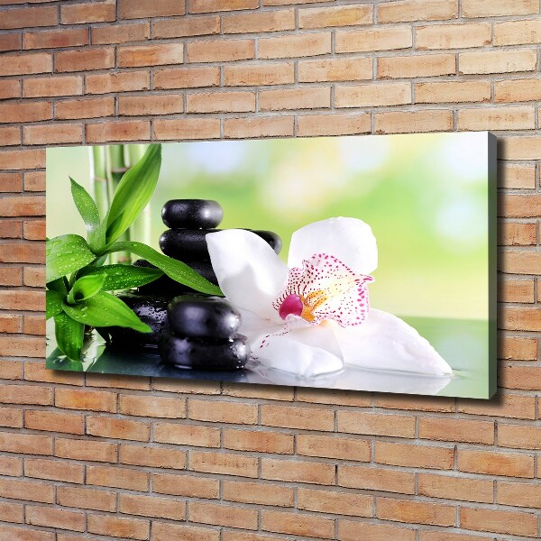 Fotobild Orchidee