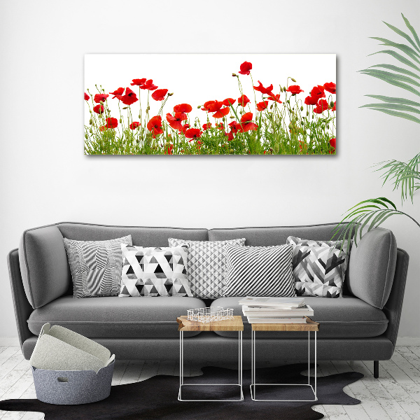 Bild auf leinwand Mohnblumen