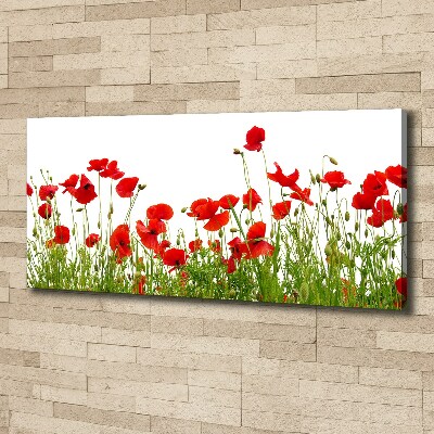 Bild auf leinwand Mohnblumen
