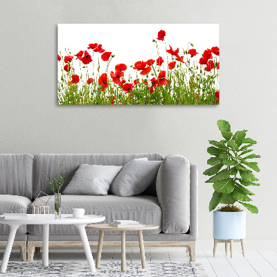 Bild auf leinwand Mohnblumen