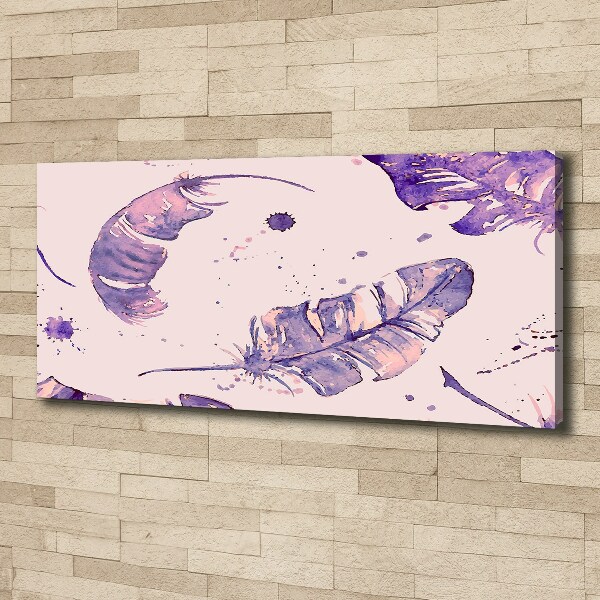 Bild auf leinwand Federn