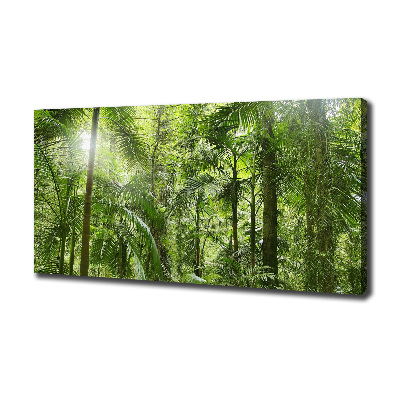 Wandbild Tropischer Wald