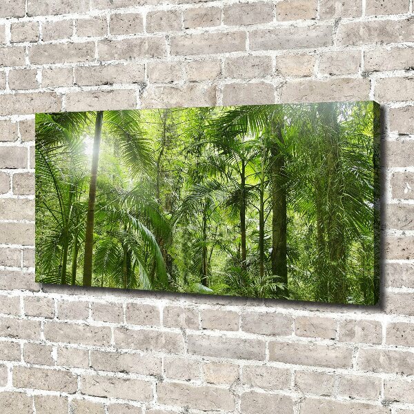 Wandbild Tropischer Wald