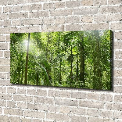 Wandbild Tropischer Wald