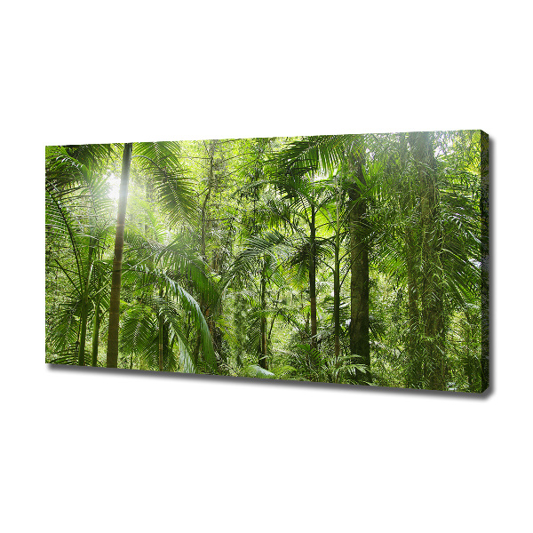 Wandbild Tropischer Wald