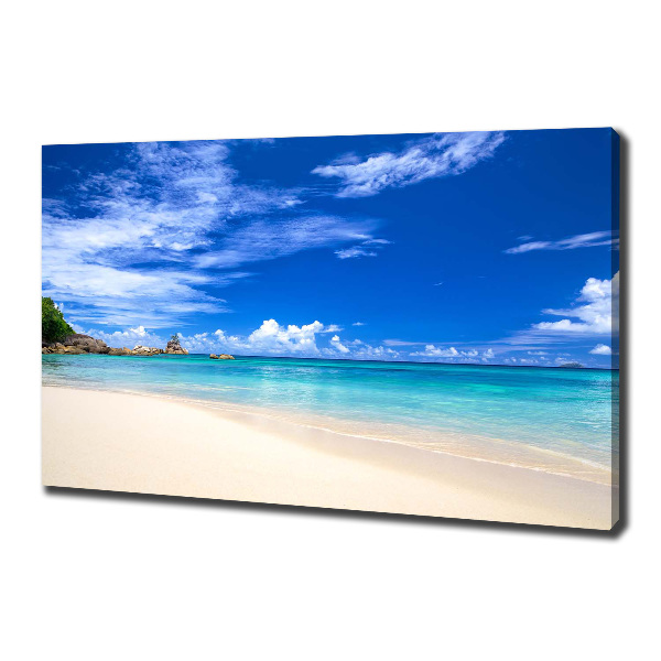 Bild auf leinwand Tropischer Strand