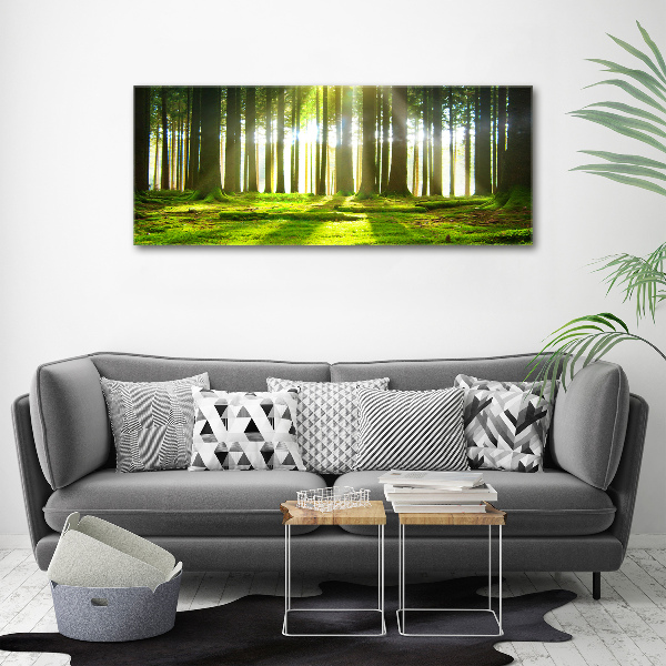 Wandbild Wald in der Sonne