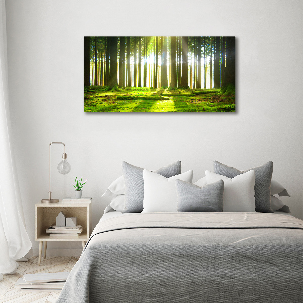 Wandbild Wald in der Sonne