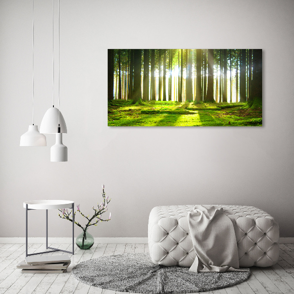 Wandbild Wald in der Sonne
