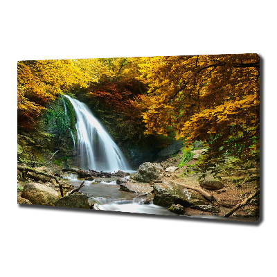 Bild auf leinwand Wasserfall im Wald