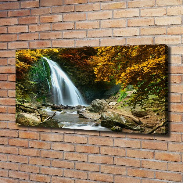 Bild auf leinwand Wasserfall im Wald